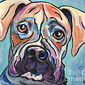 Pop Art Boxer