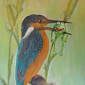 The Kingfisher and the Frog