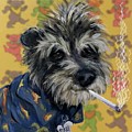 Toker